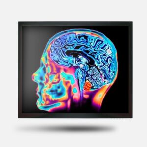 monitor multitoque de 15 polegadas para hospitais e centros de saude