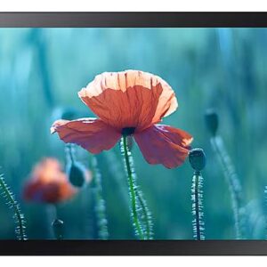 Samsung QBR-T 13